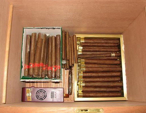 Image of Havana Foot Locker Humidor 300 Cigar Count | Walnut Finish - Shades of Havana